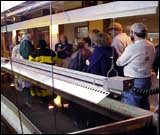 Visit to Fish hatchery